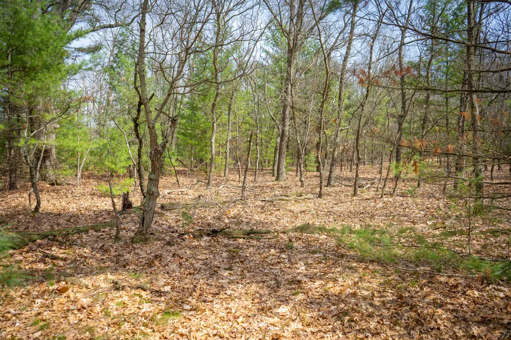 Hyde Park Road #3.39 A m/l Whitehall, MI 49461