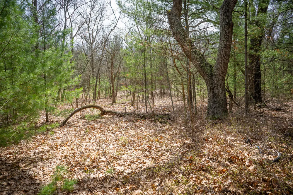 Hyde Park Road #3.39 A m/l Whitehall, MI 49461