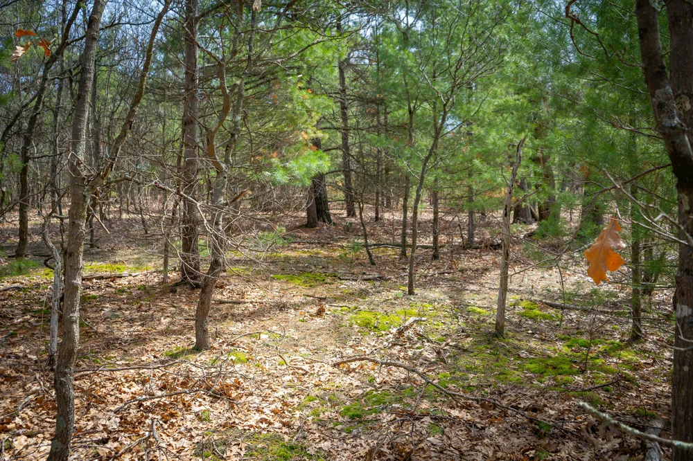 Hyde Park Road #3.39 A m/l Whitehall, MI 49461