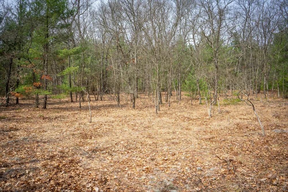 Hyde Park Road #3.39 A m/l Whitehall, MI 49461