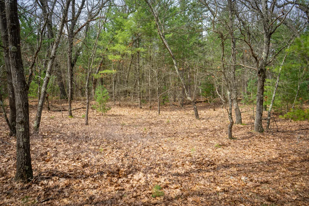 Hyde Park Road #3.39 A m/l Whitehall, MI 49461