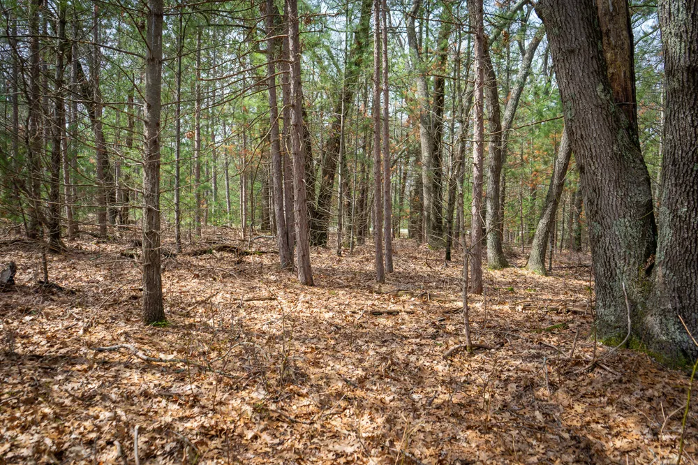Hyde Park Road #3.39 A m/l Whitehall, MI 49461
