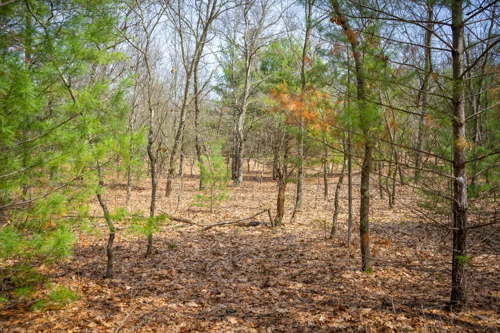 Hyde Park Road #3.39 A m/l Whitehall, MI 49461