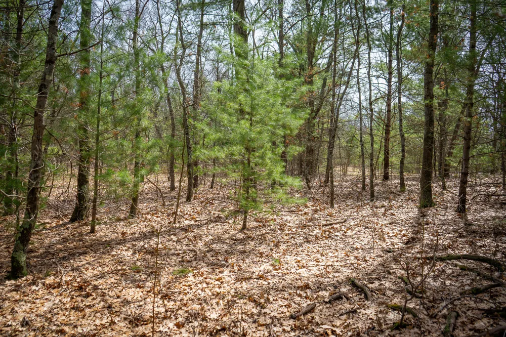 Hyde Park Road #3.39 A m/l Whitehall, MI 49461