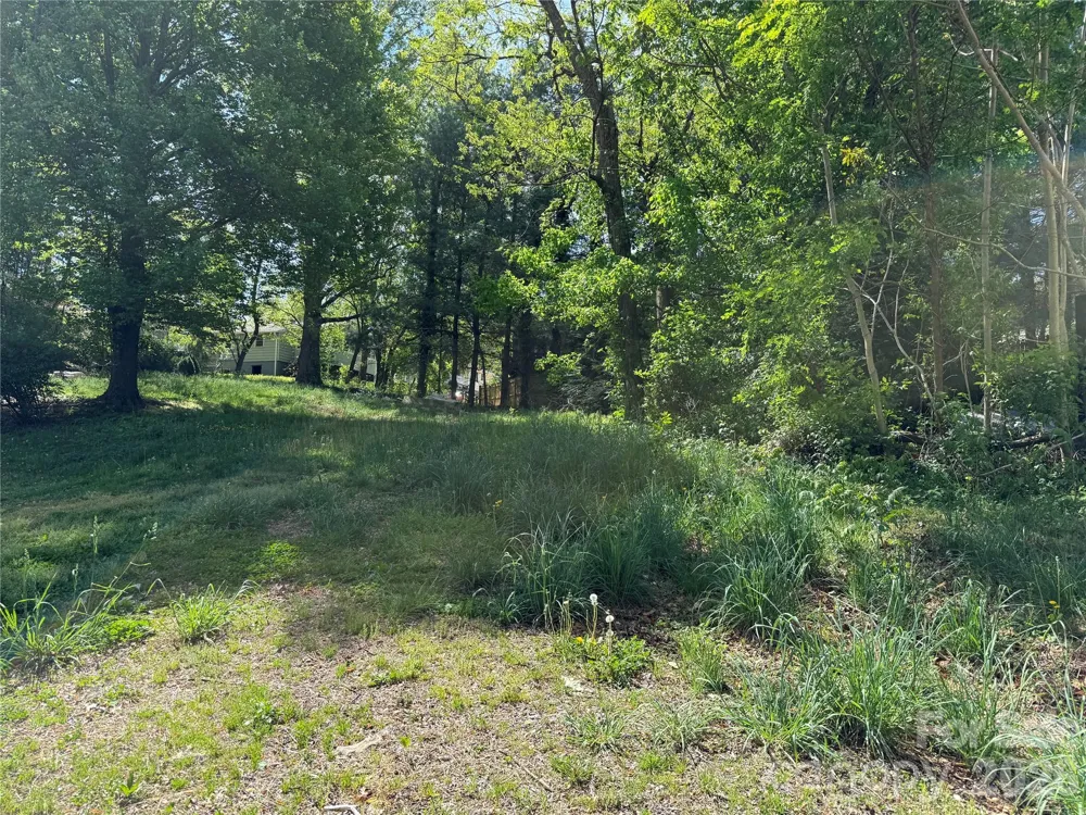 Lot 108 Mace Avenue Asheville, NC 28806