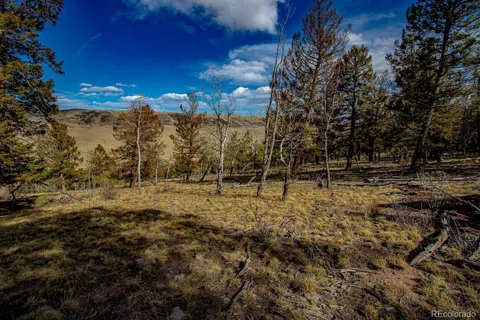 5302 Middle Fork Vista