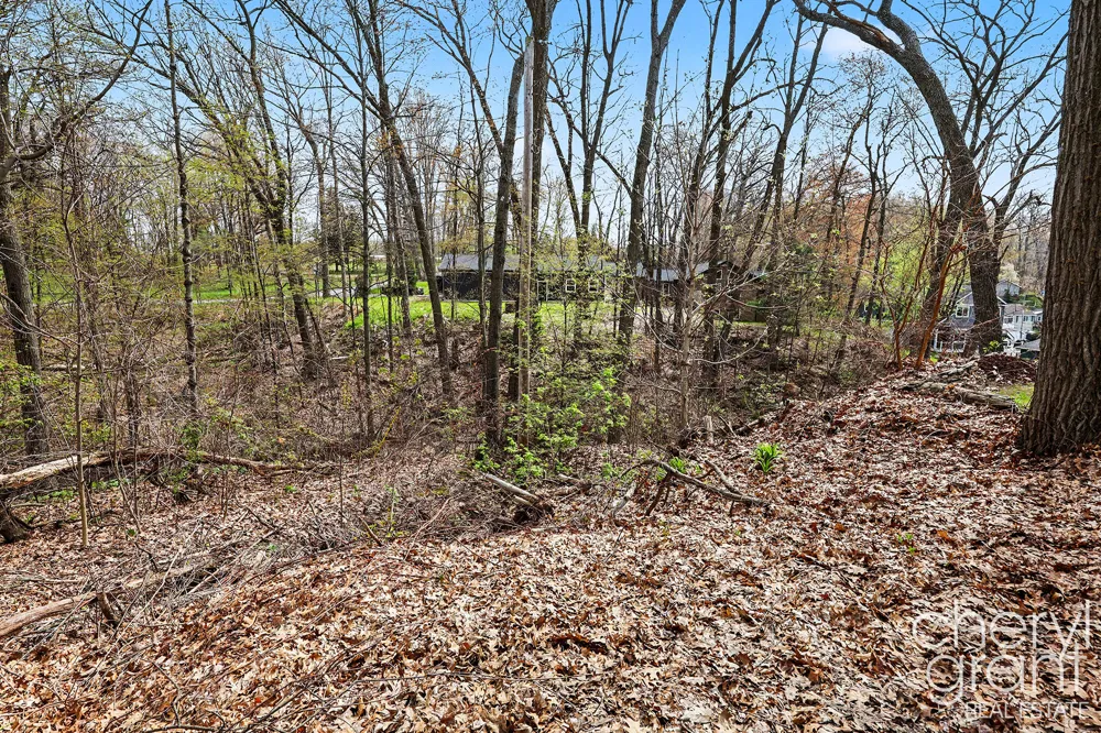 7406 Ravine Drive NE Belding, MI 48809
