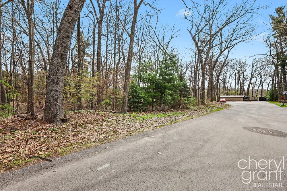 7406 Ravine Drive NE Belding, MI 48809