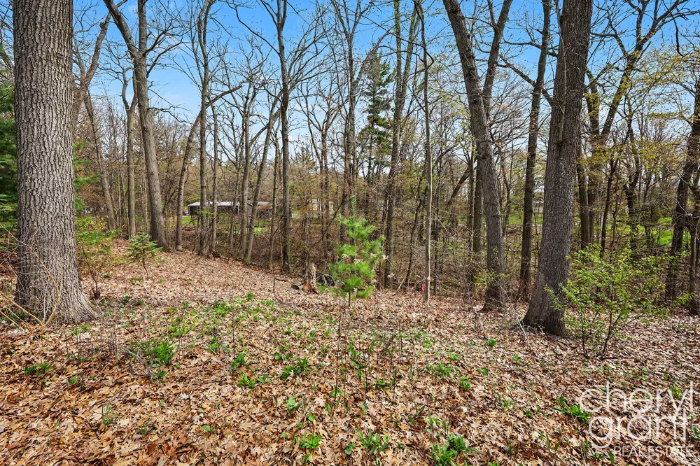 7406 Ravine Drive NE Belding, MI 48809