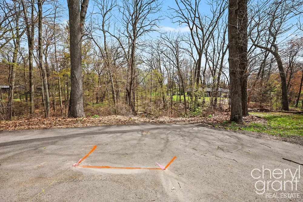 7406 Ravine Drive NE Belding, MI 48809