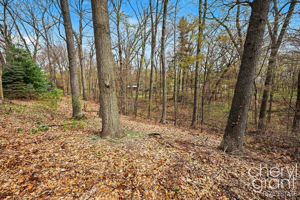 7406 Ravine Drive NE Belding, MI 48809