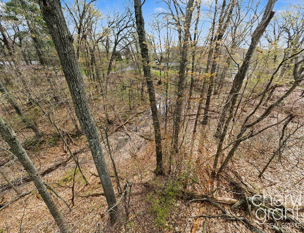 7406 Ravine Drive NE Belding, MI 48809