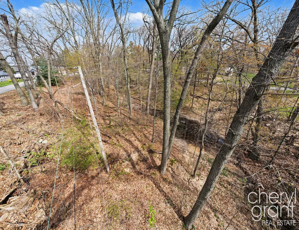 7406 Ravine Drive NE Belding, MI 48809