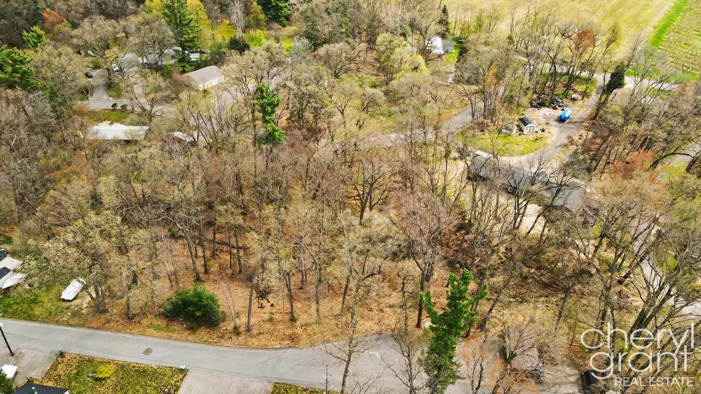 7406 Ravine Drive NE Belding, MI 48809