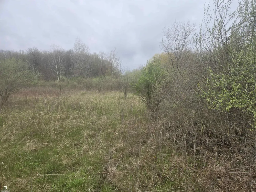 5637 Metcalf VL Road Clyde Township, MI 48049