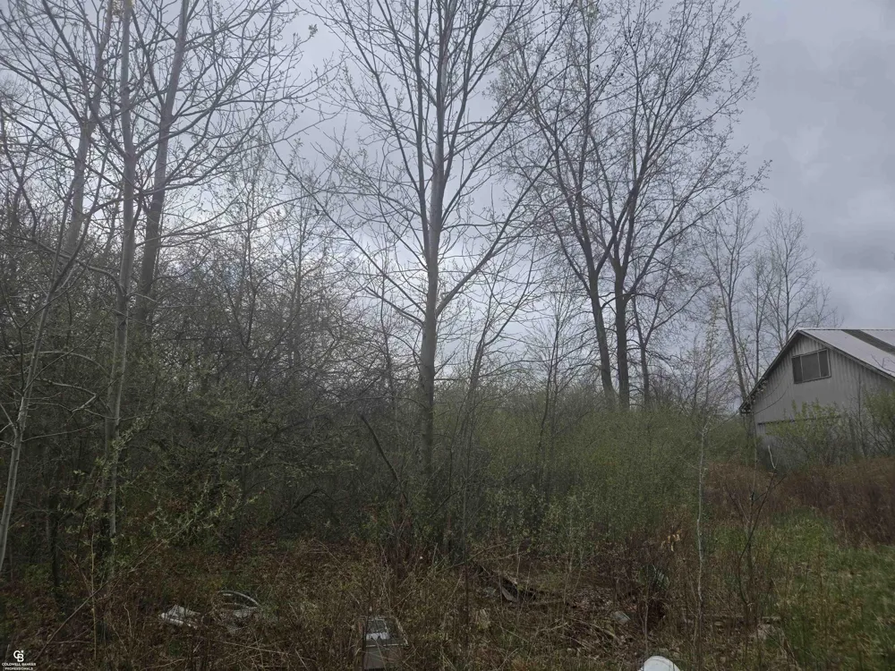 5637 Metcalf VL Road Clyde Township, MI 48049