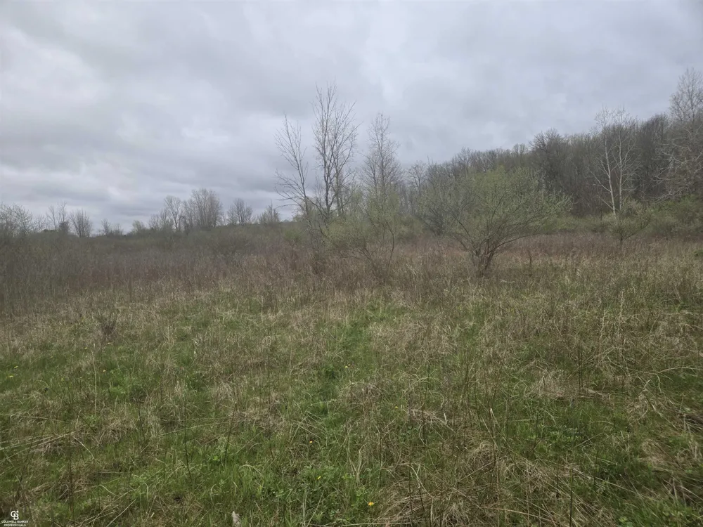 5637 Metcalf VL Road Clyde Township, MI 48049