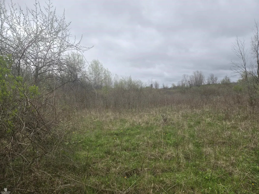 5637 Metcalf VL Road Clyde Township, MI 48049