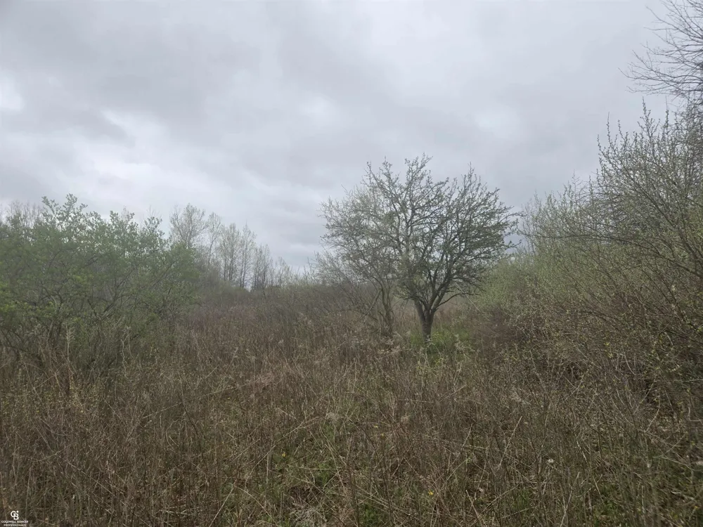5637 Metcalf VL Road Clyde Township, MI 48049