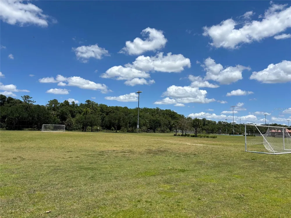 5868 AGOSTINO WAY Ave Maria, FL 34142