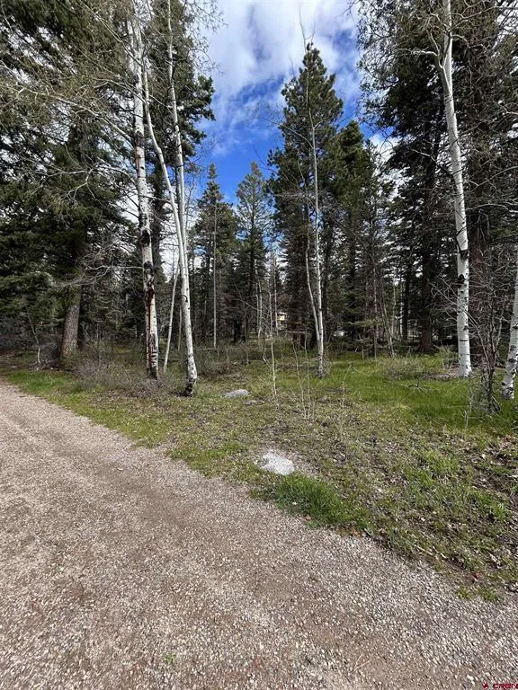 112 Sierra Verde Drive Durango, CO 81301