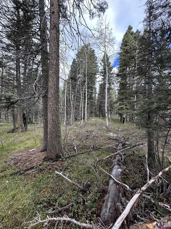 112 Sierra Verde Drive Durango, CO 81301