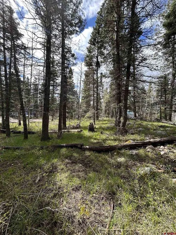 112 Sierra Verde Drive Durango, CO 81301