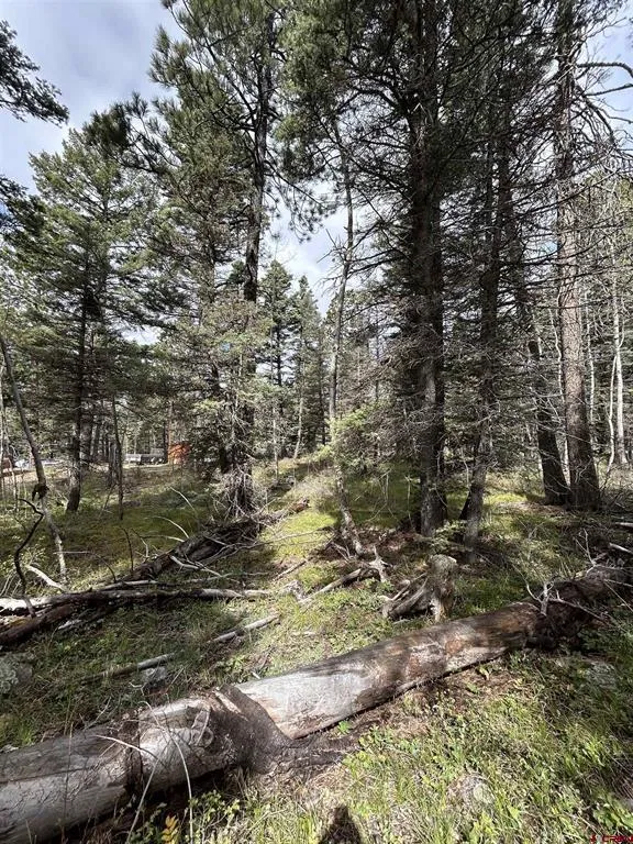 112 Sierra Verde Drive Durango, CO 81301