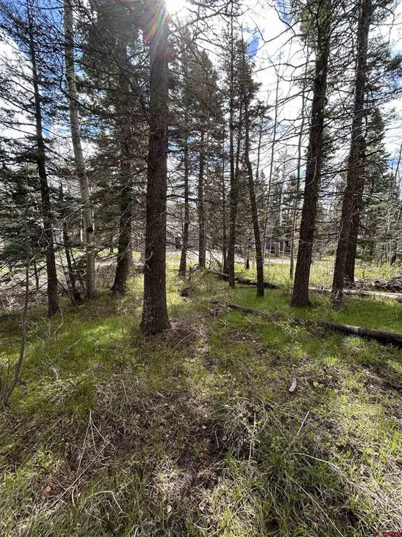 112 Sierra Verde Drive Durango, CO 81301