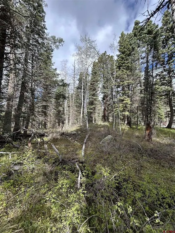 112 Sierra Verde Drive Durango, CO 81301