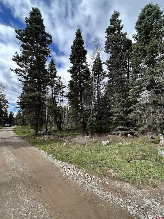 112 Sierra Verde Drive Durango, CO 81301