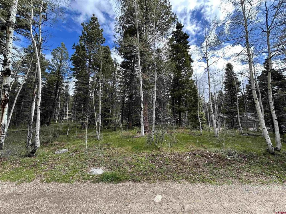 112 Sierra Verde Drive Durango, CO 81301