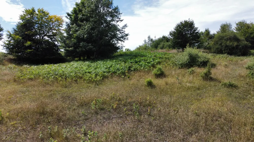 86 Slope Drive Onekama, MI 49675