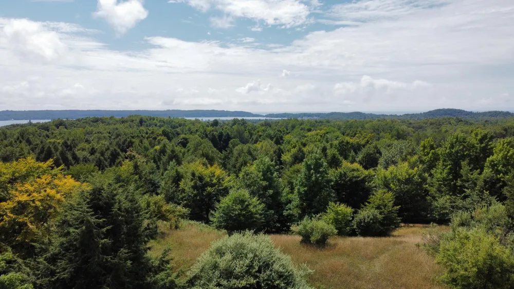 86 Slope Drive Onekama, MI 49675