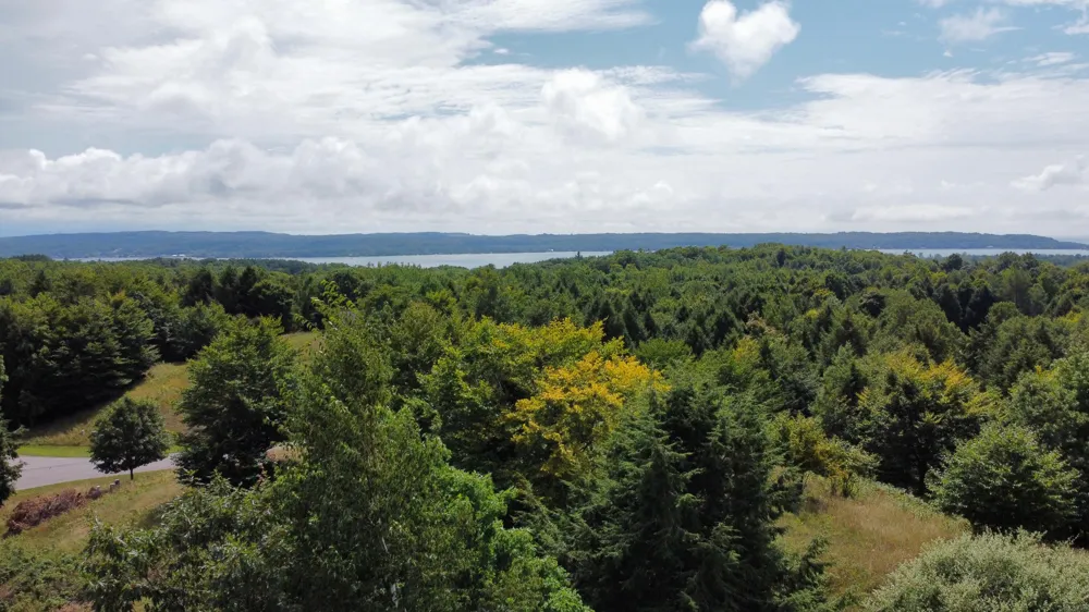 86 Slope Drive Onekama, MI 49675