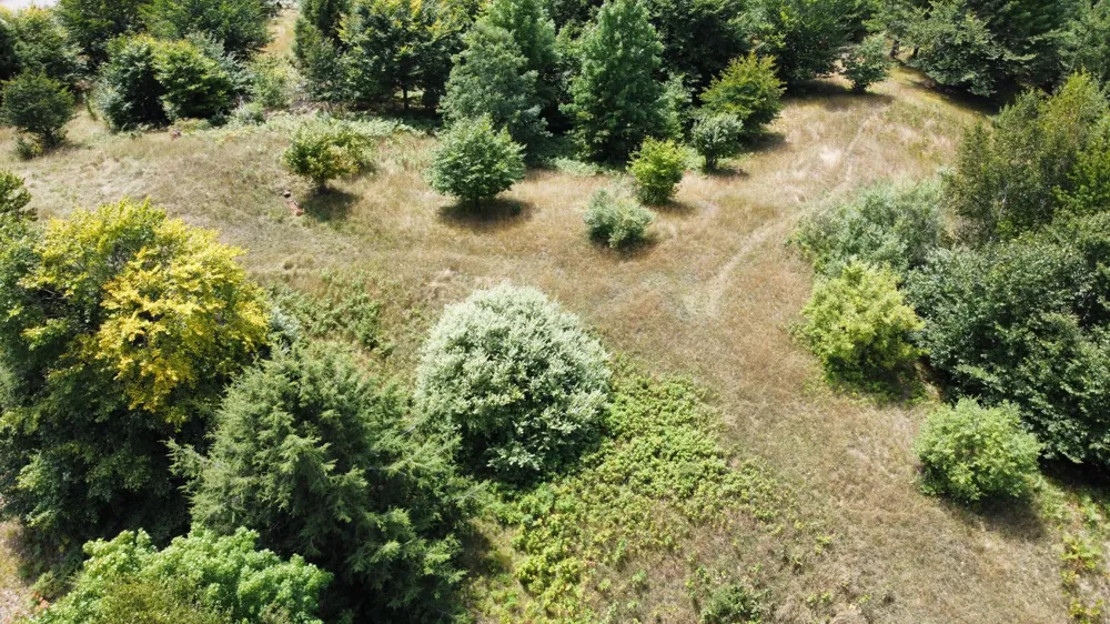 86 Slope Drive Onekama, MI 49675