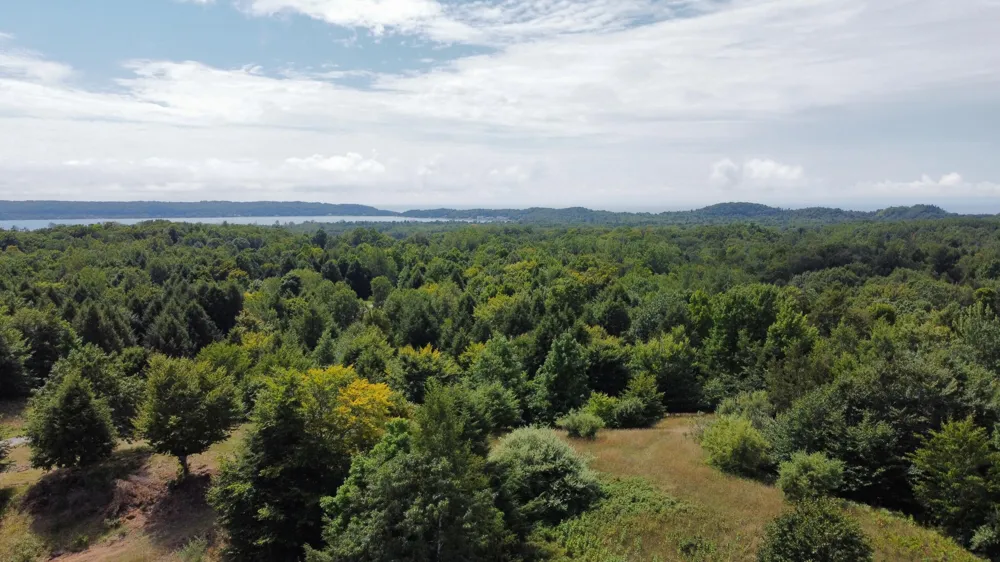 86 Slope Drive Onekama, MI 49675
