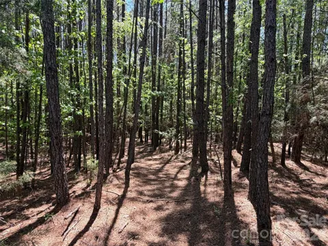5 AC Terry Drive Highway