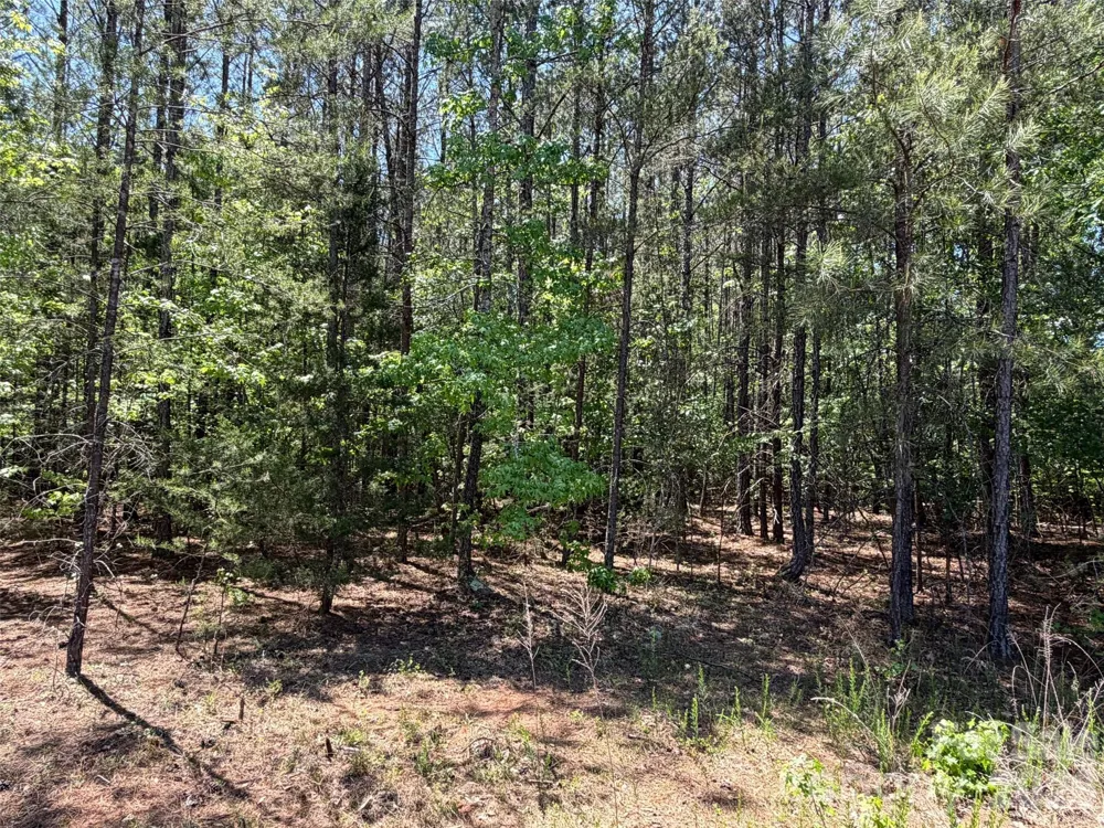 5 AC Terry Drive Highway Union, SC 29379