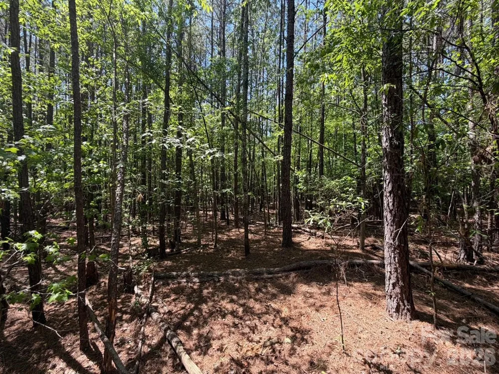 5 AC Terry Drive Highway Union, SC 29379