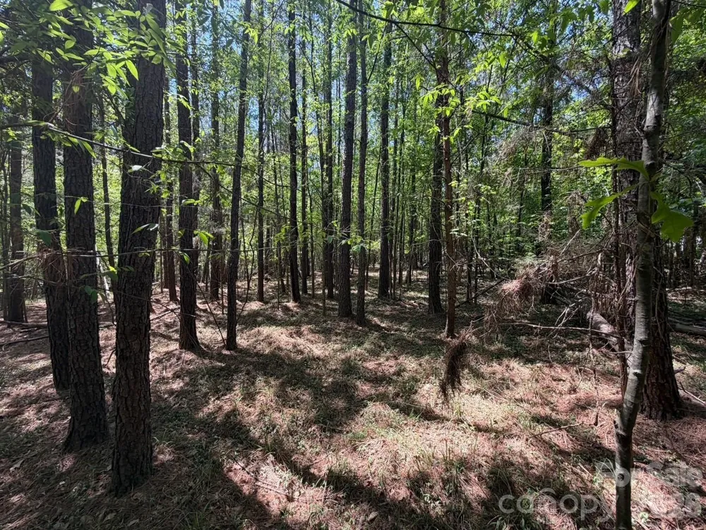5 AC Terry Drive Highway Union, SC 29379