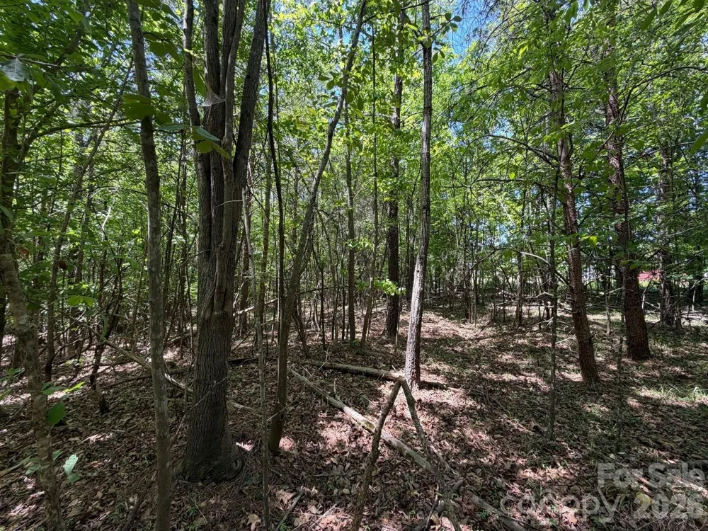 5 AC Terry Drive Highway Union, SC 29379