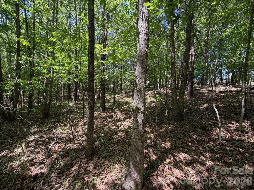 5 AC Terry Drive Highway Union, SC 29379