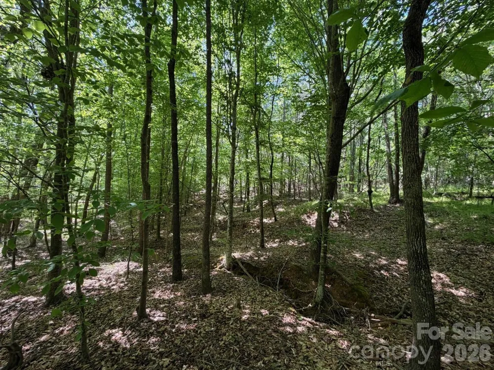 5 AC Terry Drive Highway Union, SC 29379