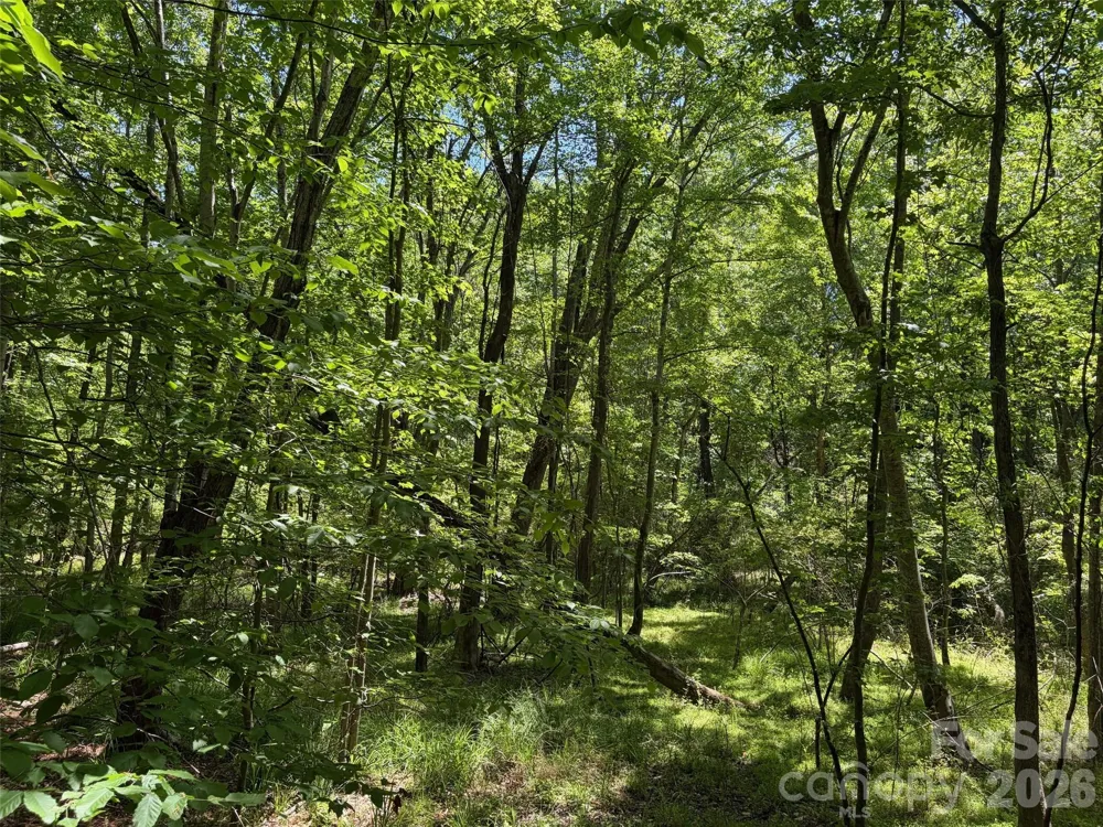 5 AC Terry Drive Highway Union, SC 29379