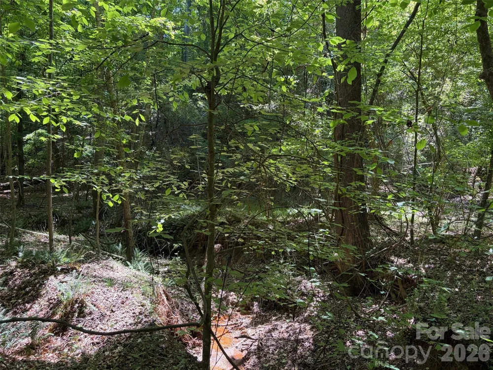 5 AC Terry Drive Highway Union, SC 29379