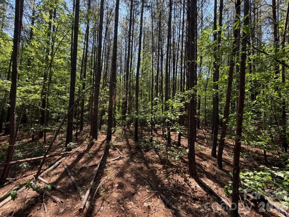 5 AC Terry Drive Highway Union, SC 29379