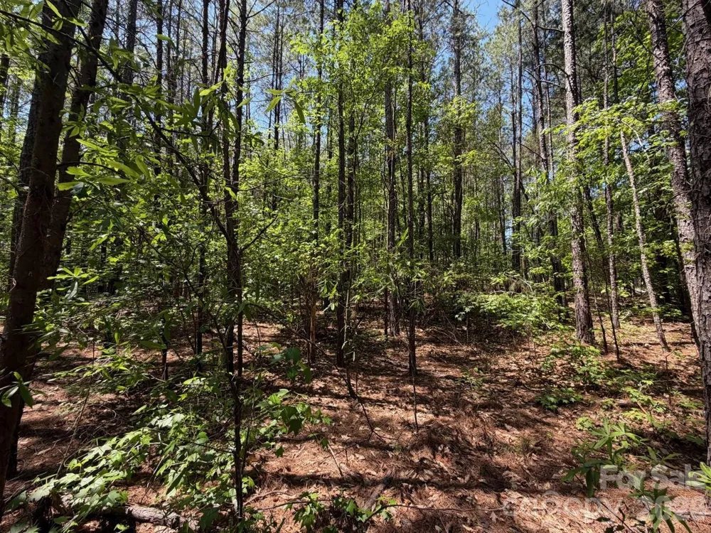 5 AC Terry Drive Highway Union, SC 29379