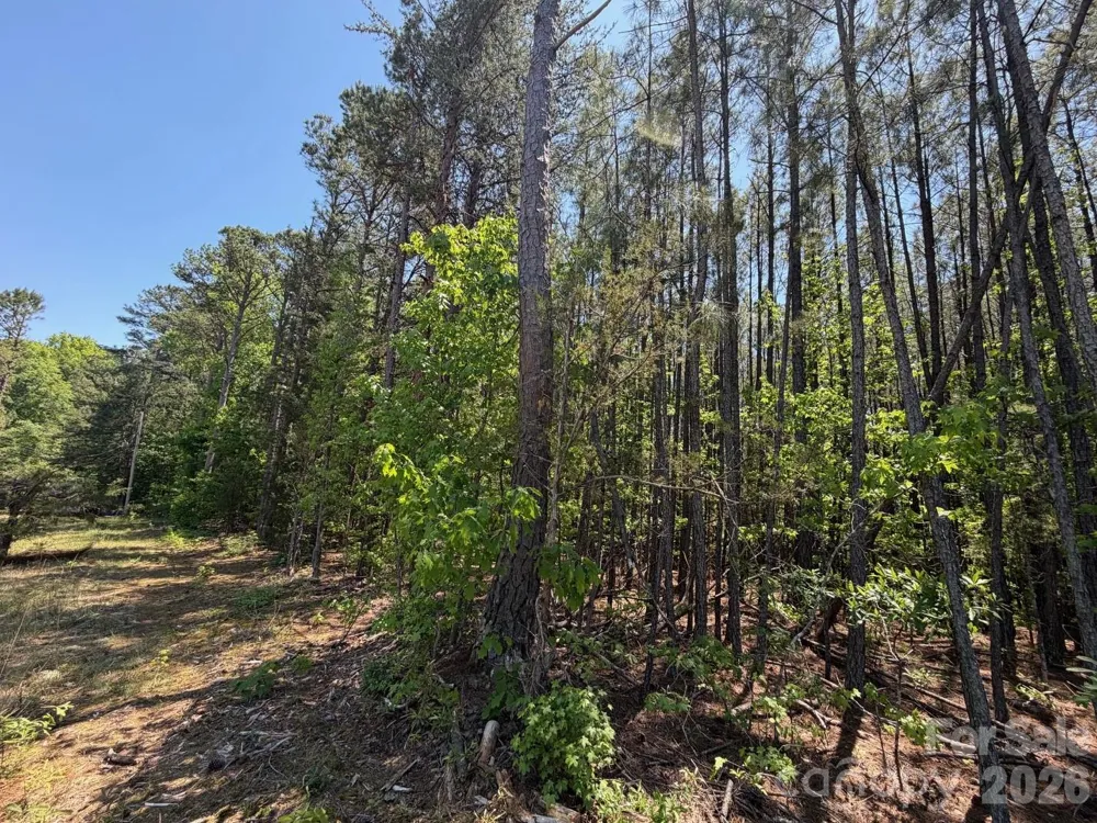 5 AC Terry Drive Highway Union, SC 29379