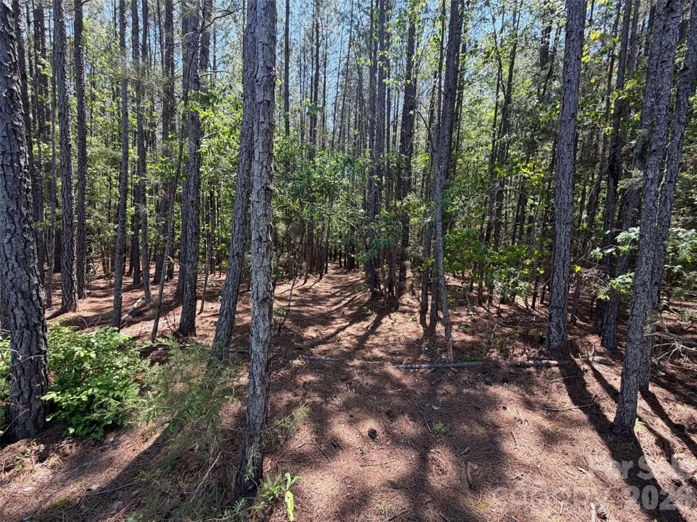 5 AC Terry Drive Highway Union, SC 29379